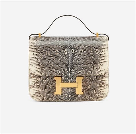 hermes lizard ombre